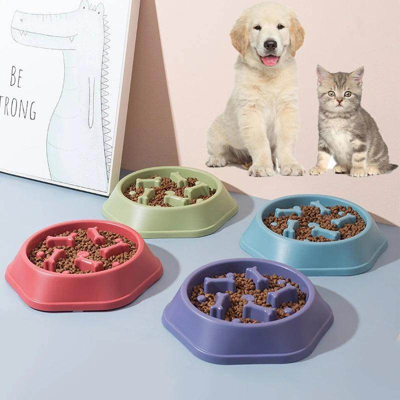 Pet Slow Food Bowl for Cats/Dogs - My Store
