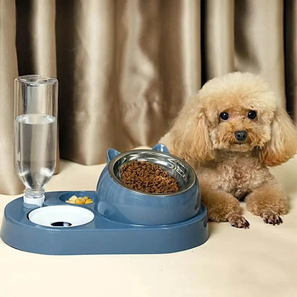 2-in-1 Cat Bowl Water Dispenser - My Store