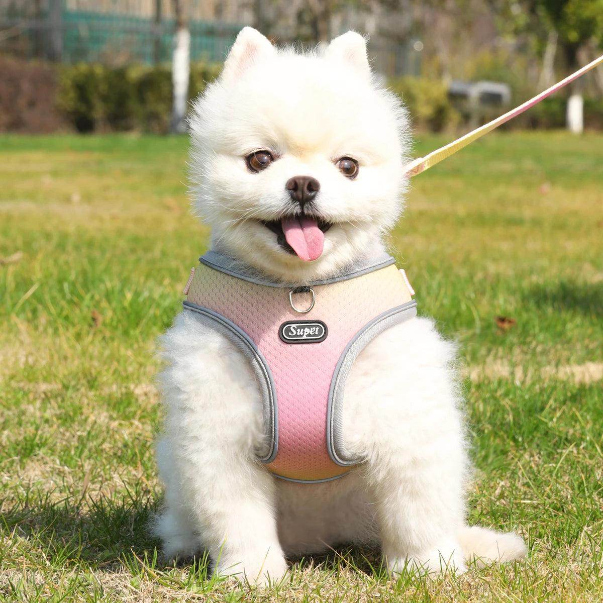 Supet Step-in Dog Harness - My Store