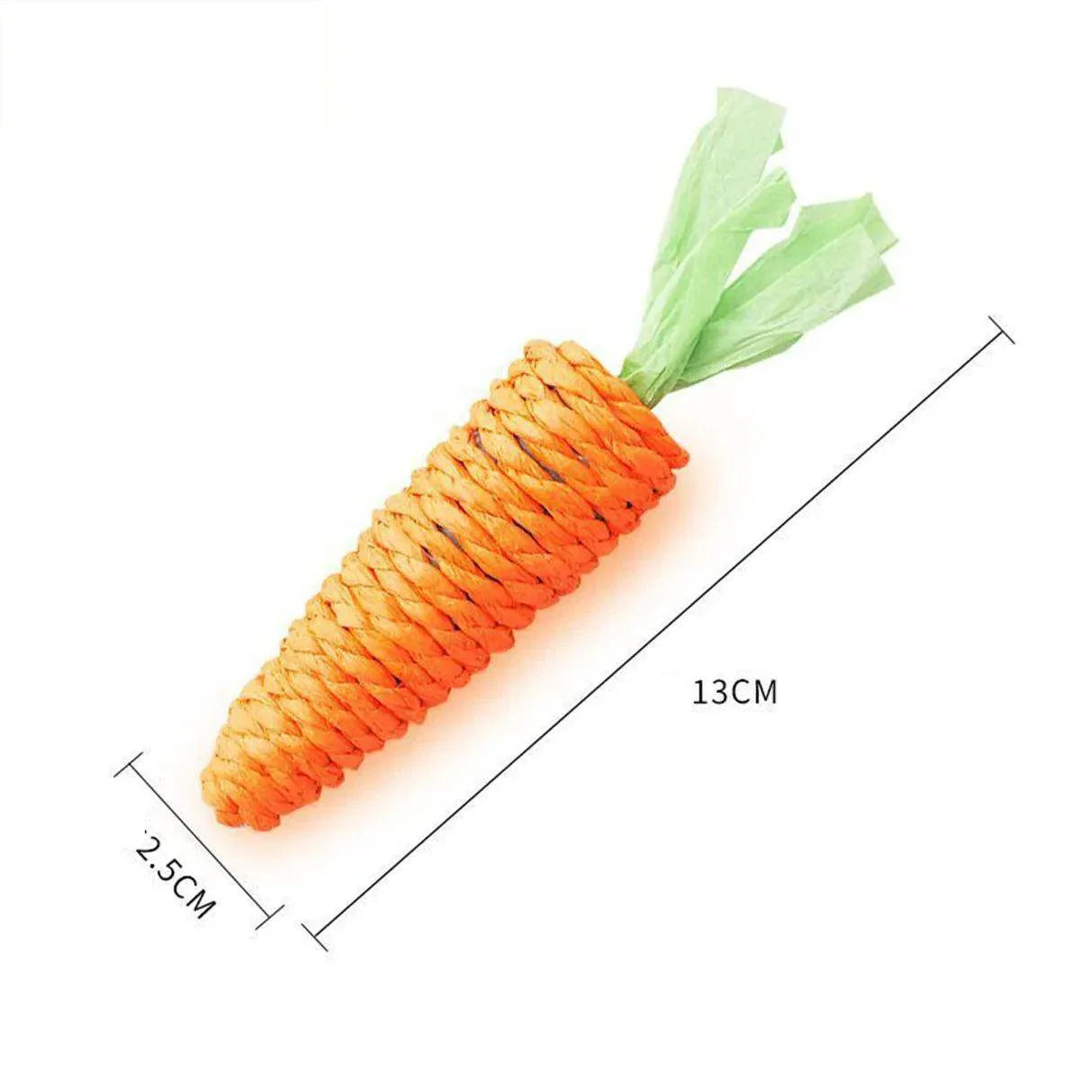 Carrot Sounding Pet Chew Toy - My Store