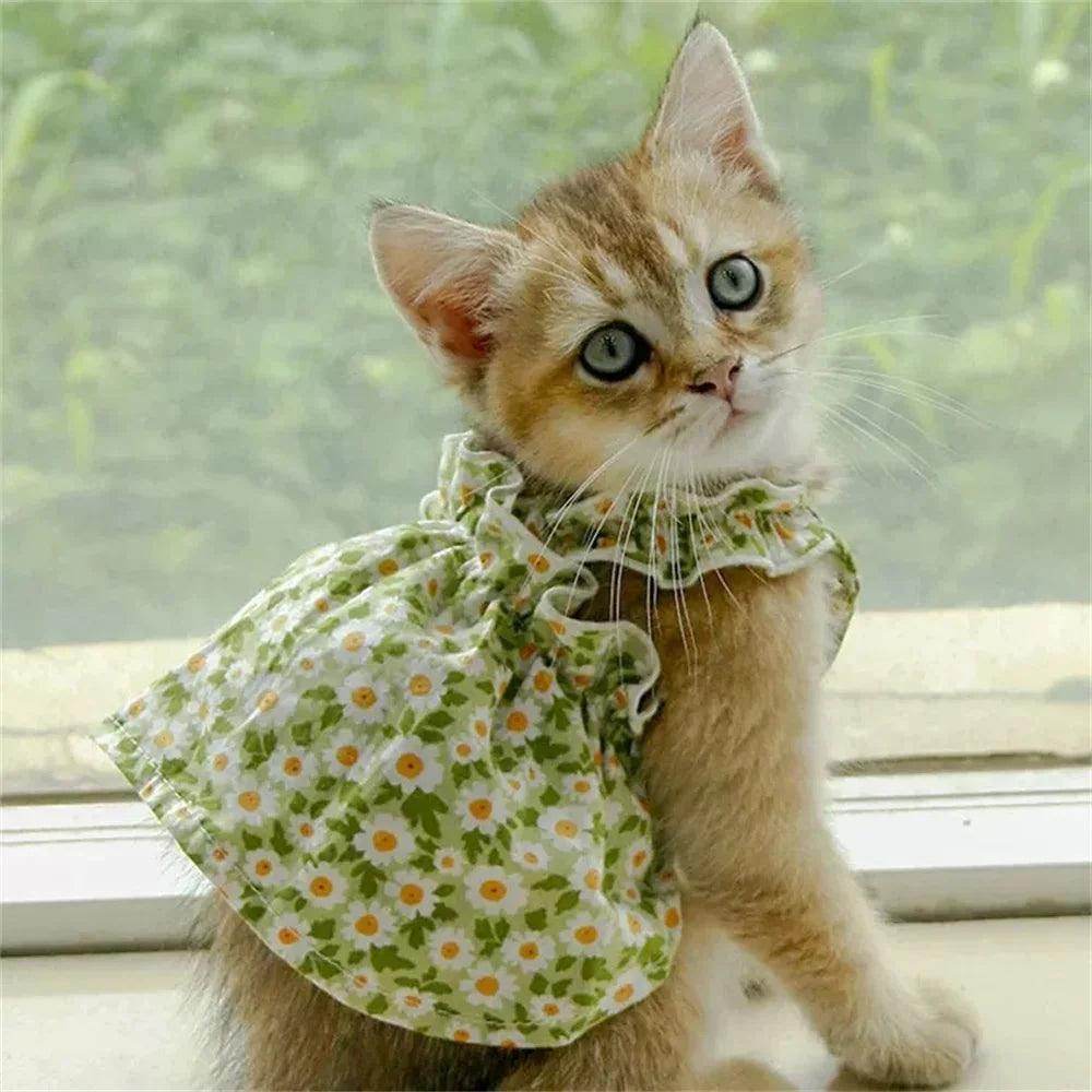 Pet Princess Suspender Dress - My Store
