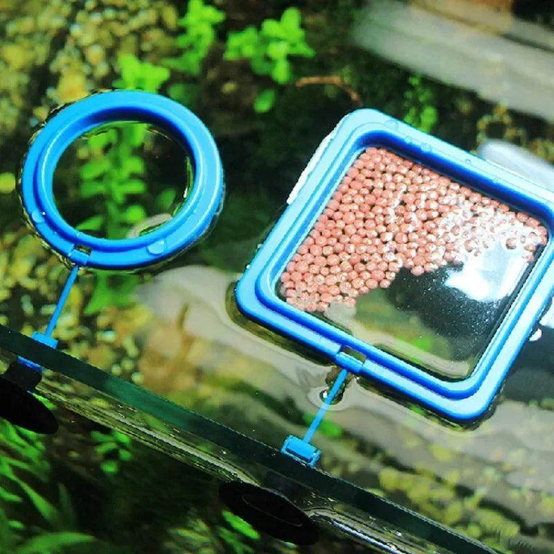 Floating Fish Feeding Ring - My Store