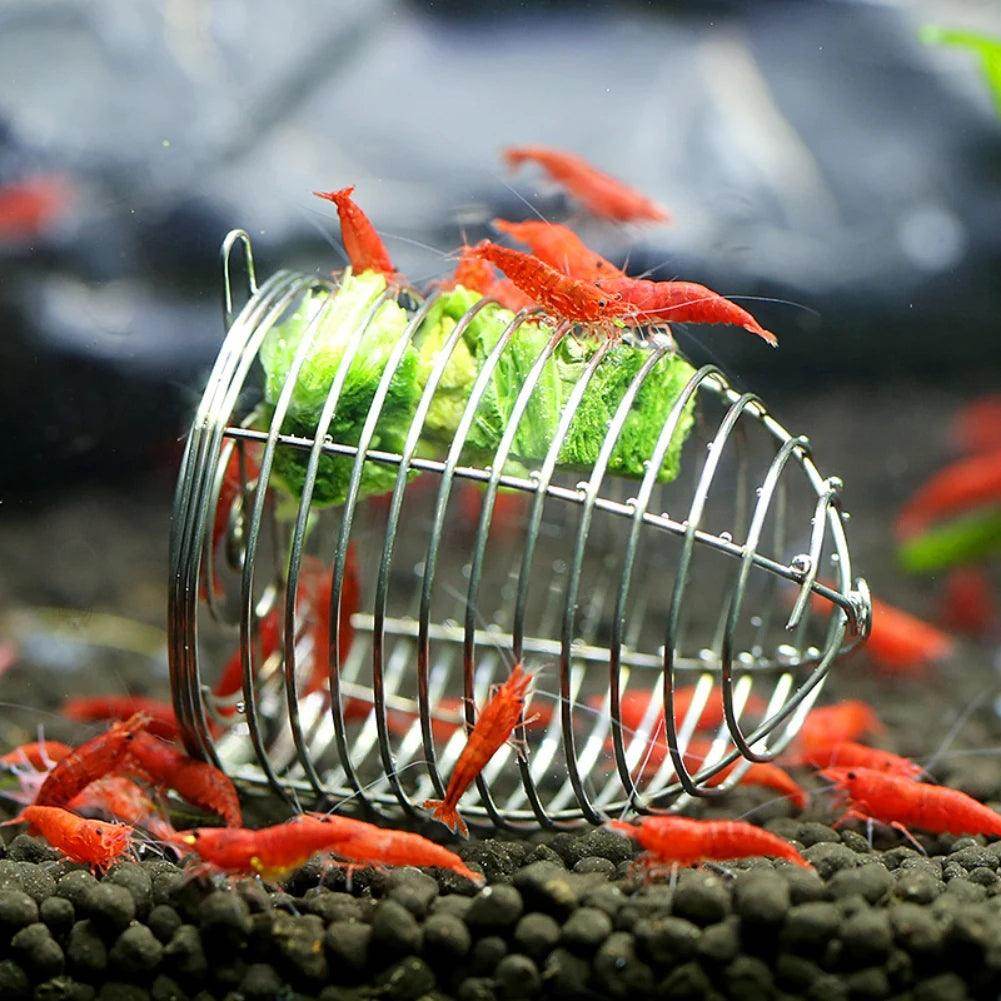 Stainless Steel Shrimp Feeding Dish - My Store