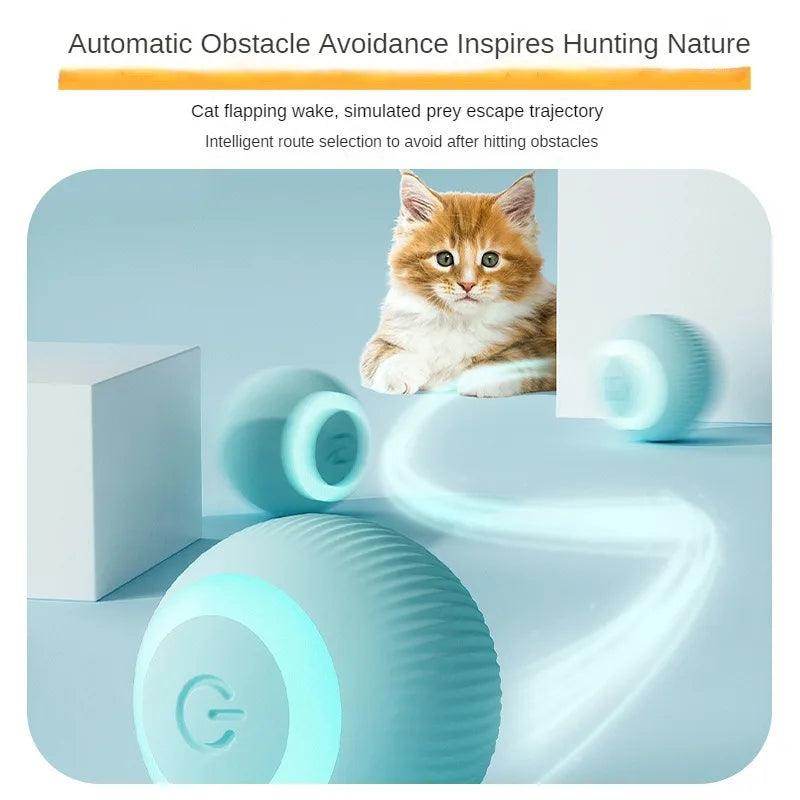 Automatic Moving Cat Toy – Rechargeable Rolling Ball - My Store