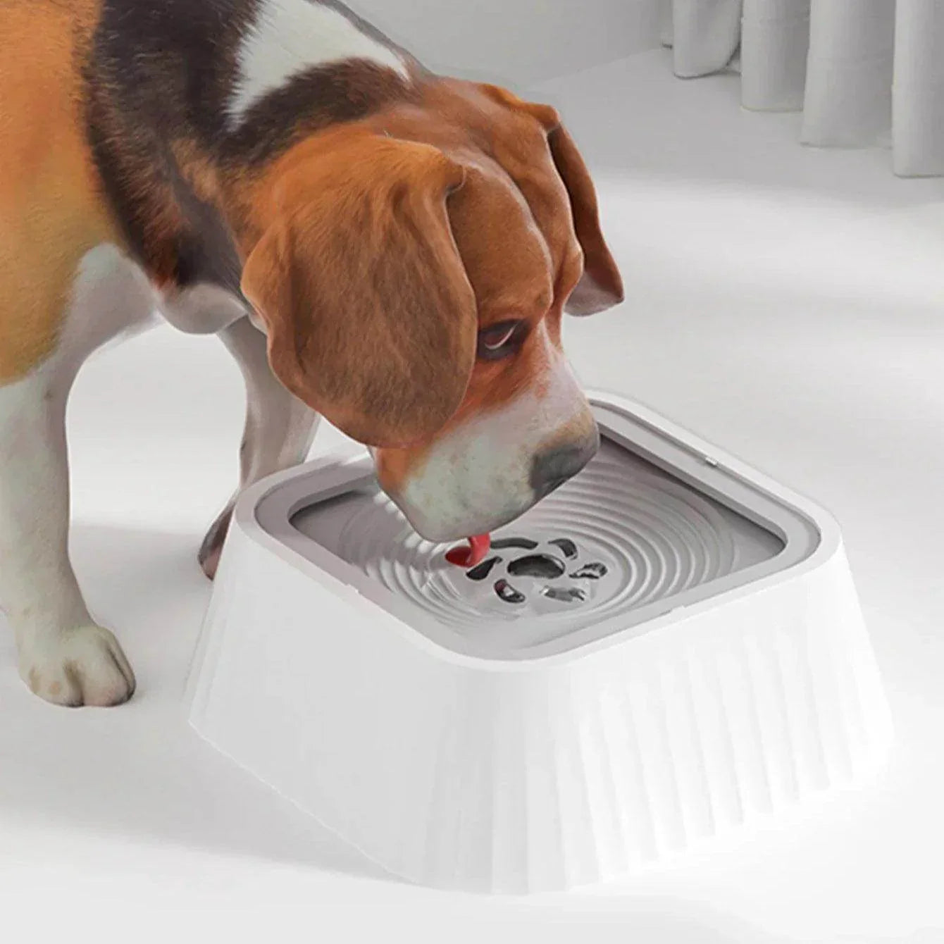 Pet Water Fountain with Floating Plates - My Store