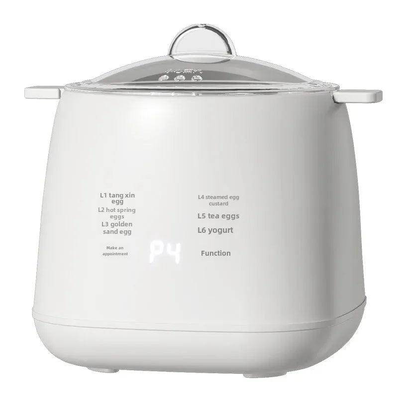 Mini Egg Boiler-Multifunctional Electric - My Store