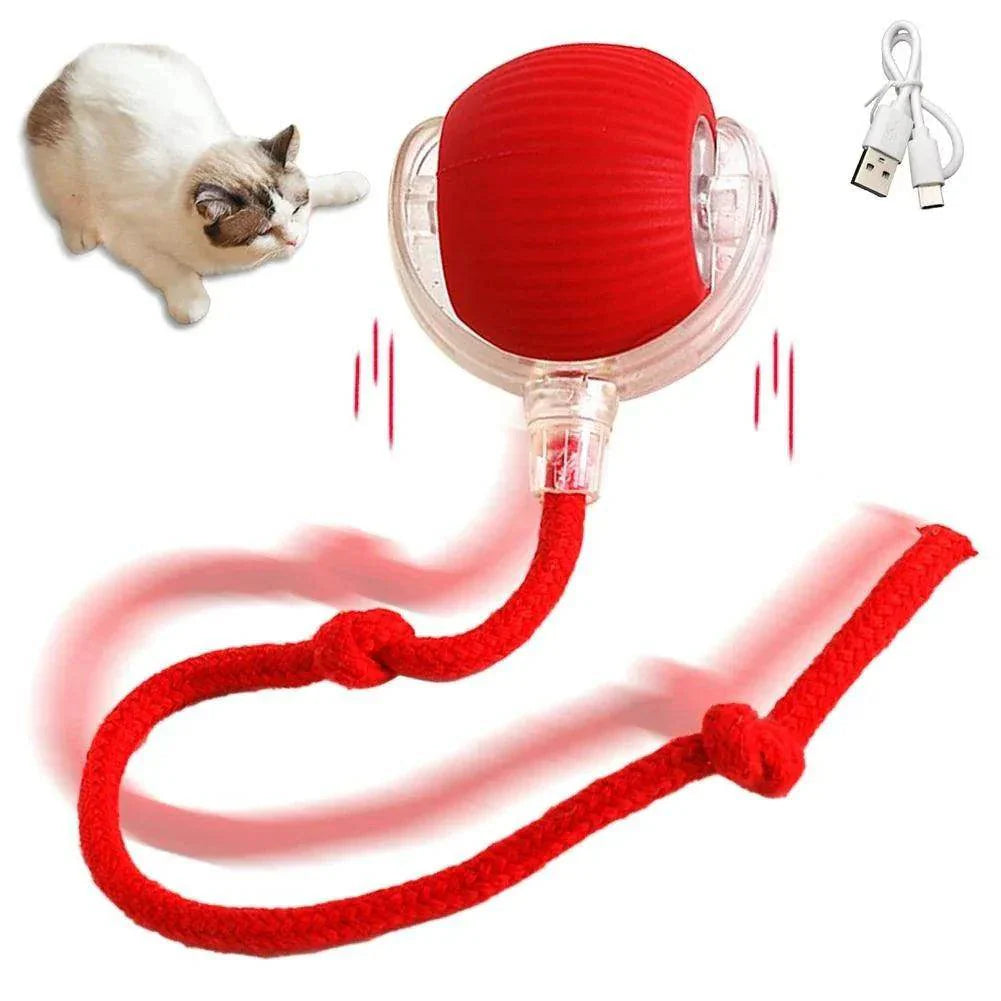 Cat Interactive Ball Toy Automatic Rolling Ball - My Store