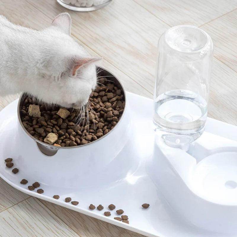 Pet Dual Bowl Dog and Cat Automatic Feeding and Water Dispenser - My Store