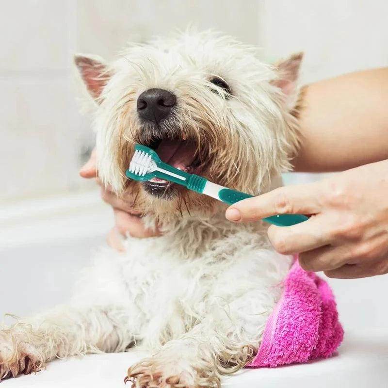 3-Sided Pet Toothbrush - My Store