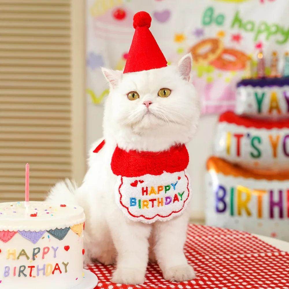 Pet Birthday Outfit Set - My Store