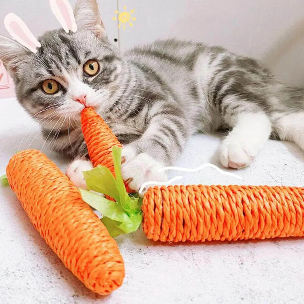 Carrot Sounding Pet Chew Toy - My Store