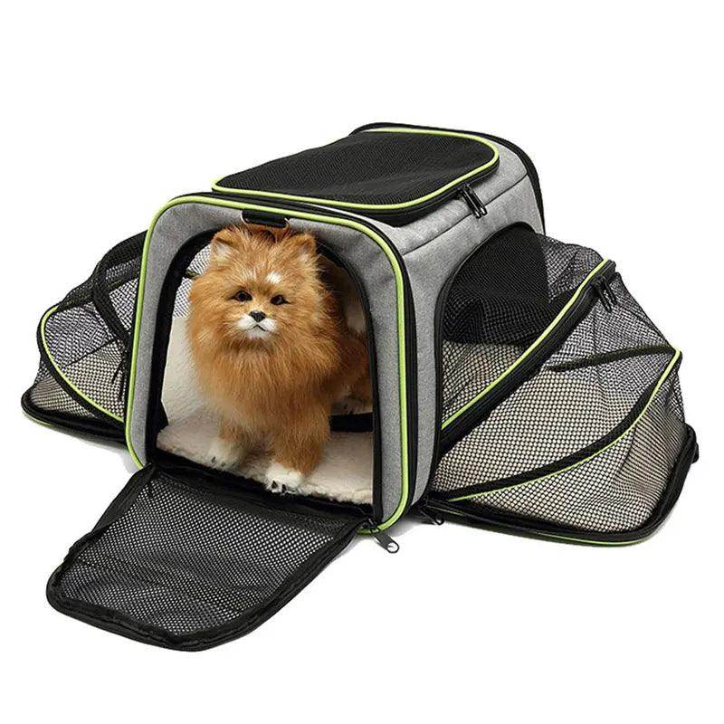 Portable Pet Carrier Backpack - My Store