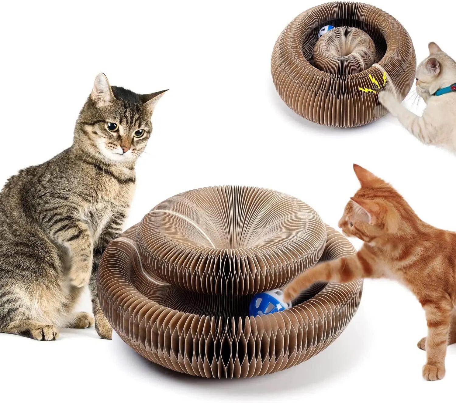Interactive Cat Scratching Cardboard Toy - My Store