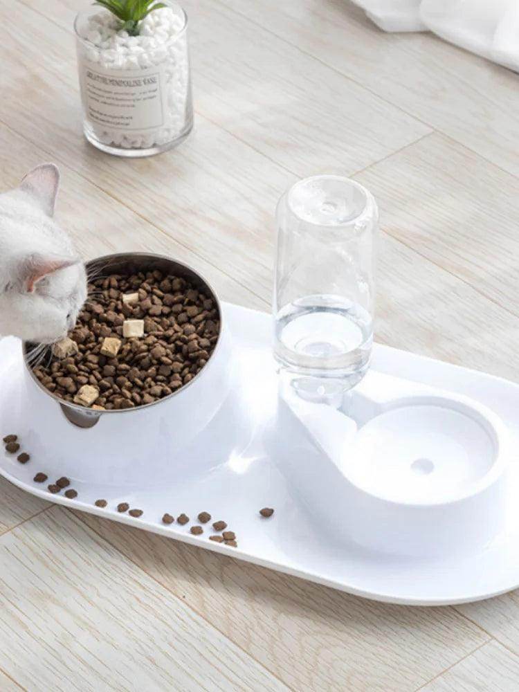 Pet Dual Bowl Dog and Cat Automatic Feeding and Water Dispenser - My Store
