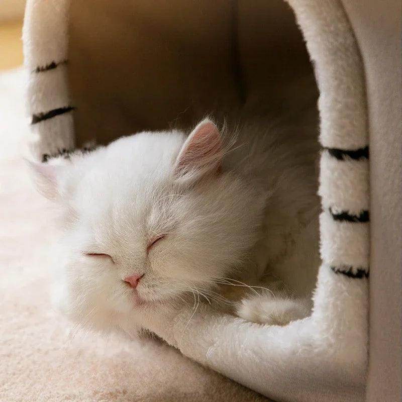 Foldable Luxury Pet House with Detachable Mat - My Store