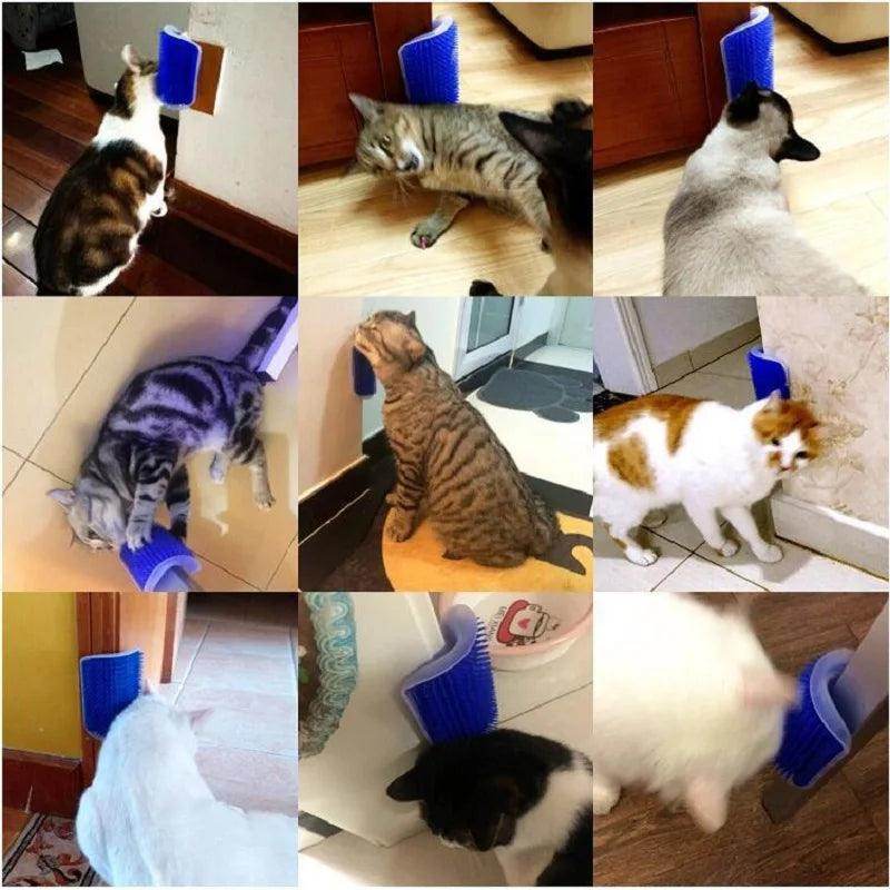 Cat Scratcher Massager for Cats - My Store