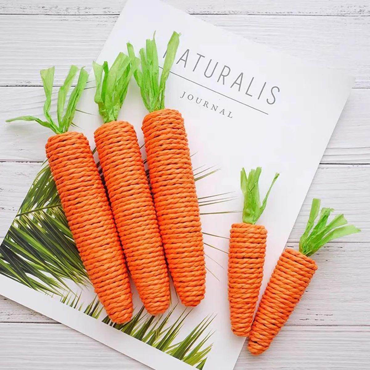 Carrot Sounding Pet Chew Toy - My Store