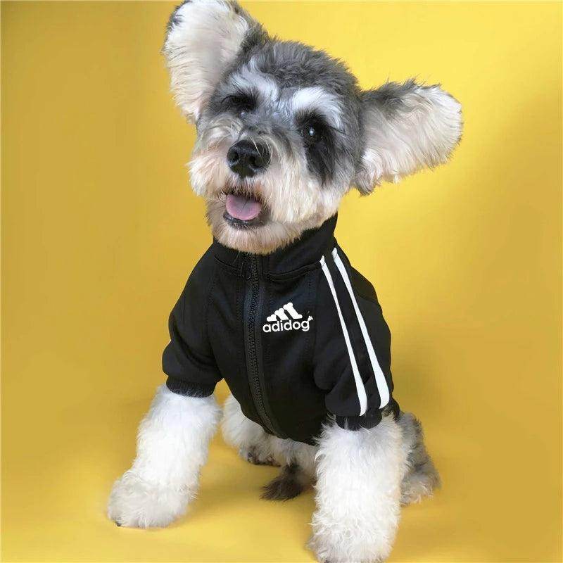 Baseball Dog Jacket - My Store