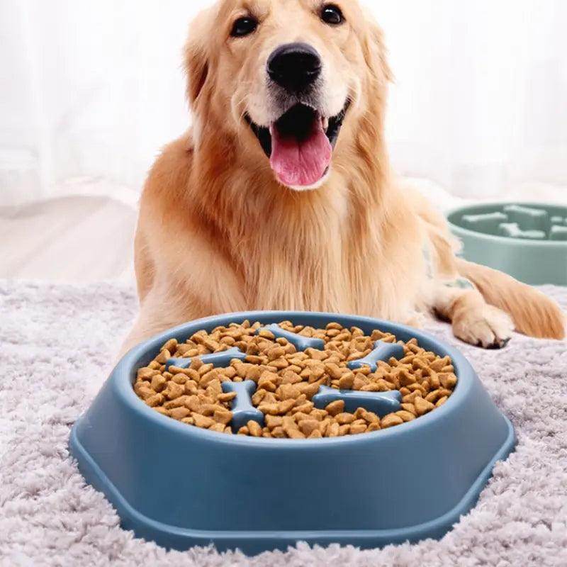 Pet Slow Food Bowl for Cats/Dogs - My Store