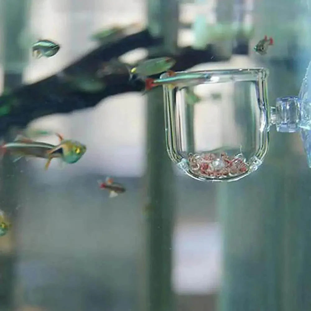 Acrylic Aquatic Plant Cup with Suction Holder - My Store