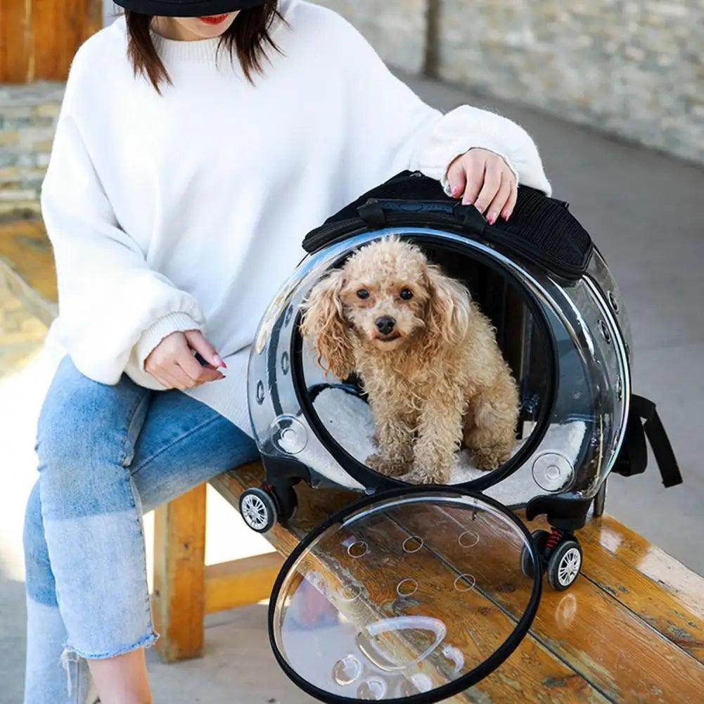 Pet Trolley Case - Ventilated, Silent Wheels - My Store