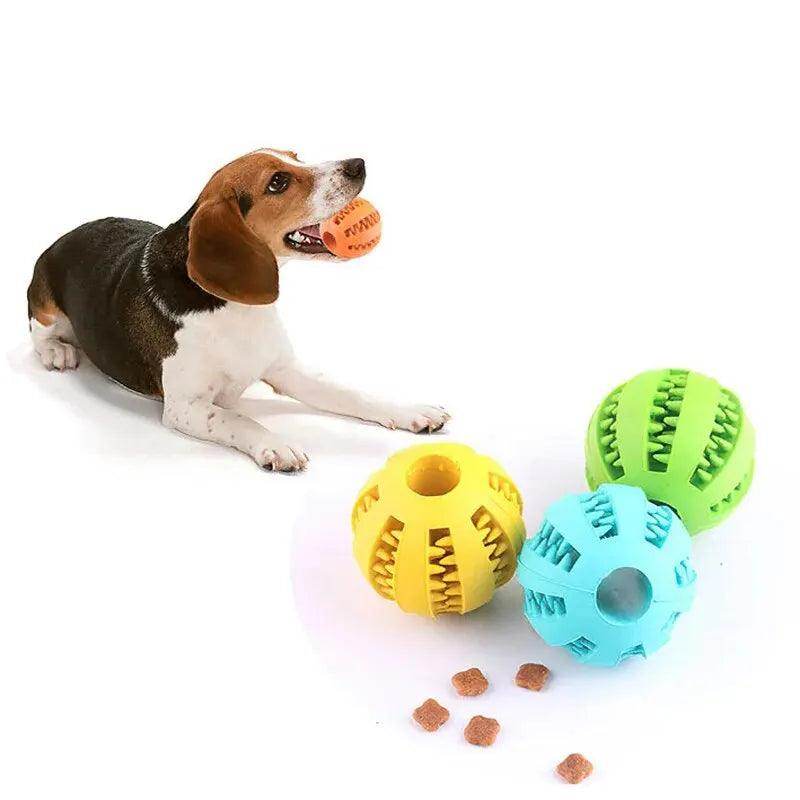 Dog Toy Ball, Nontoxic Bite Resistant - My Store