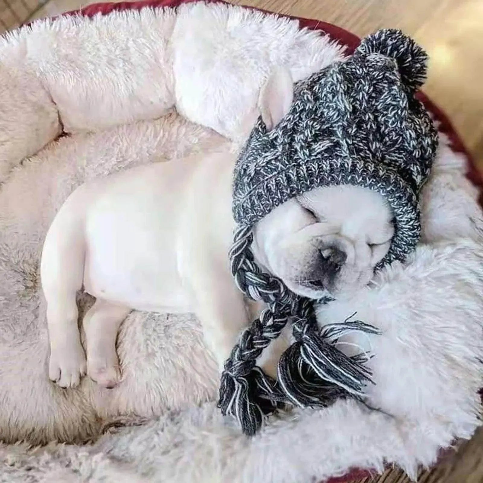 Winter Knitted Dog Hat - My Store