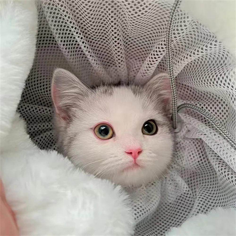 Outdoor Travel Dog Carrier Backpack - My Store