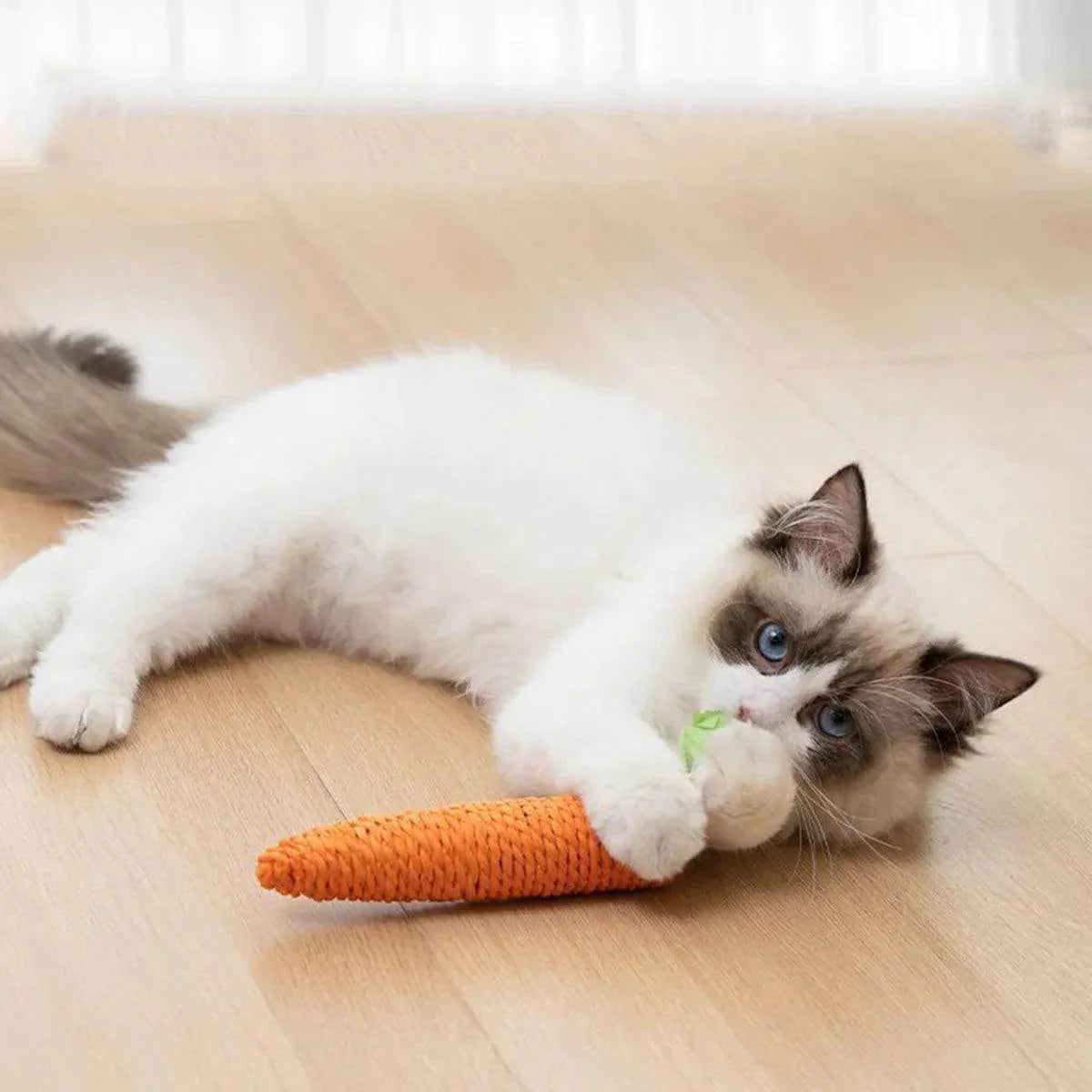 Carrot Sounding Pet Chew Toy - My Store