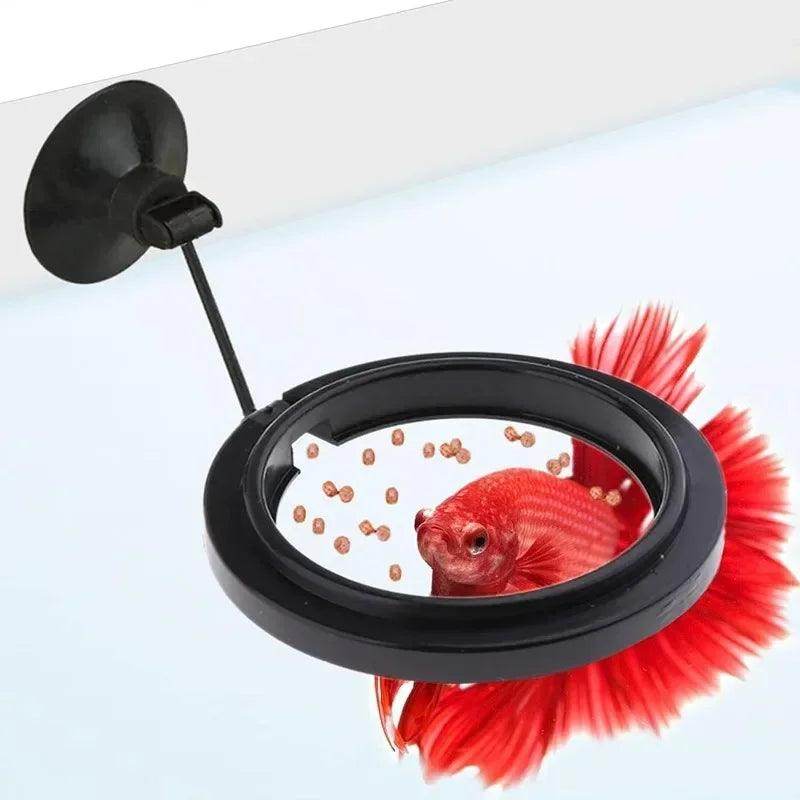Floating Fish Feeding Ring - My Store
