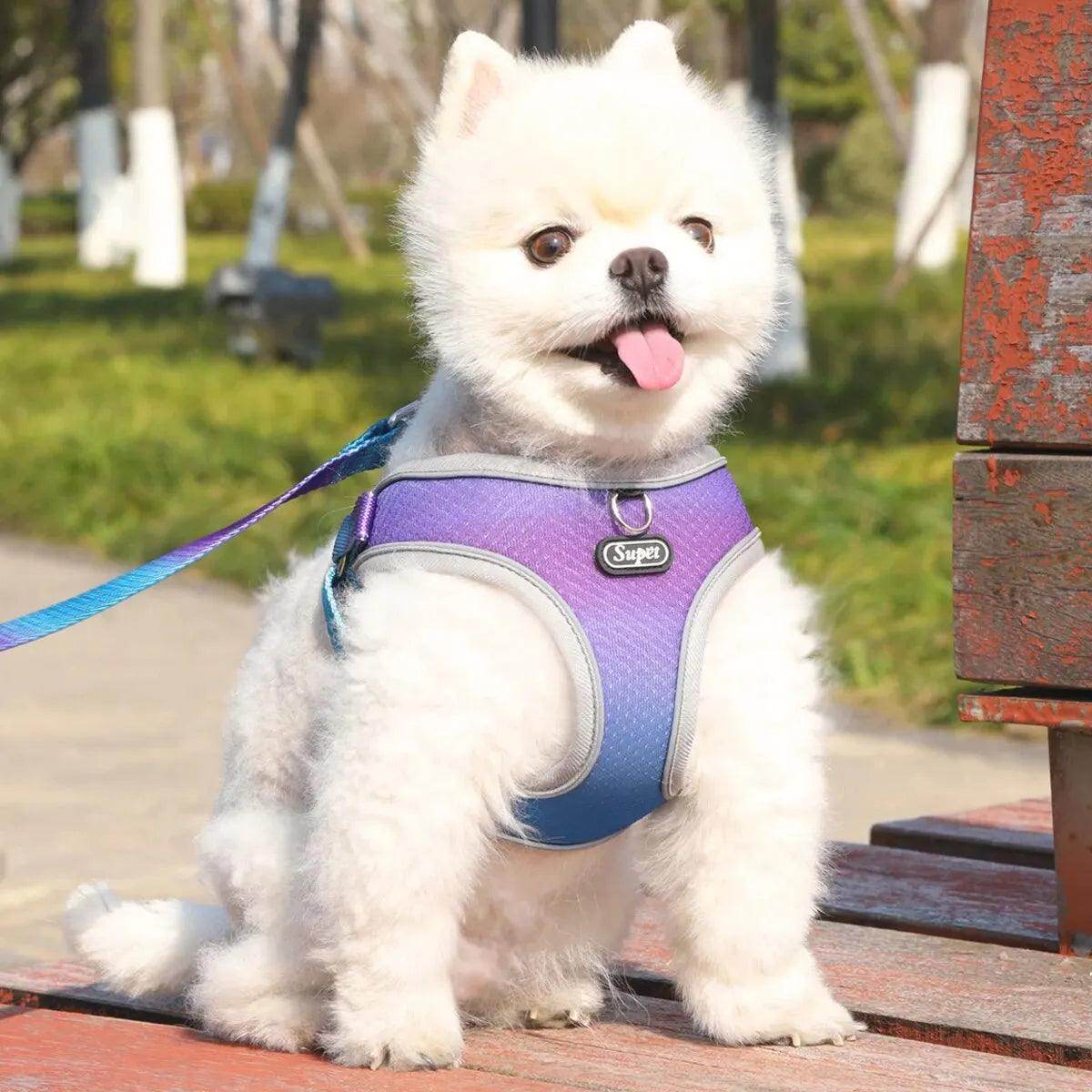 Supet Step-in Dog Harness - My Store