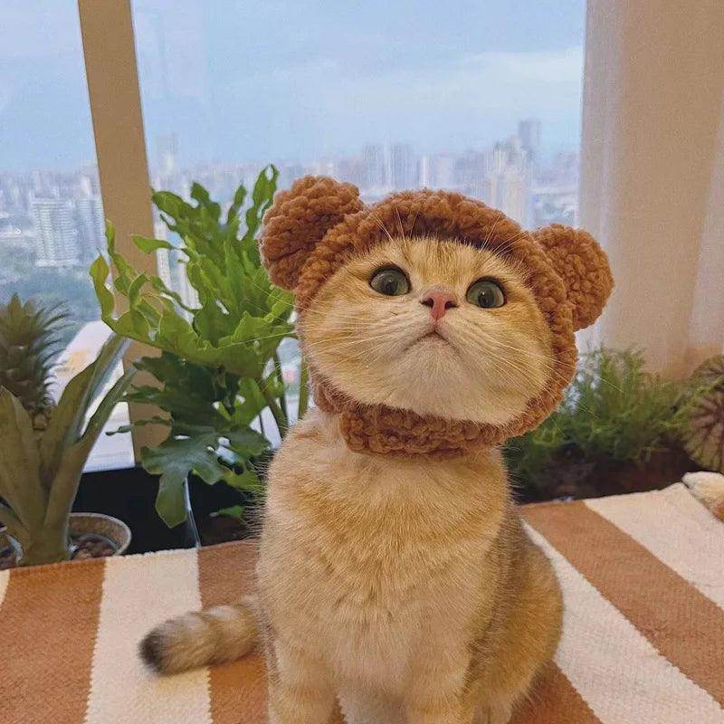 Plush Bear Cat & Dog Hat - My Store