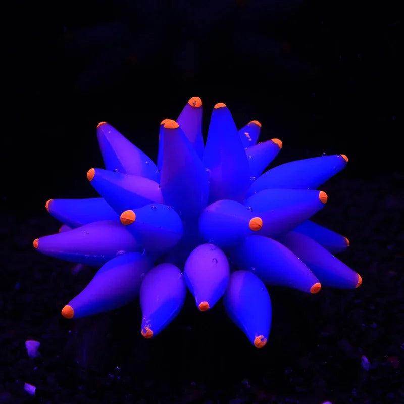 Fluorescent Bubble Coral Aquarium Decoration - My Store