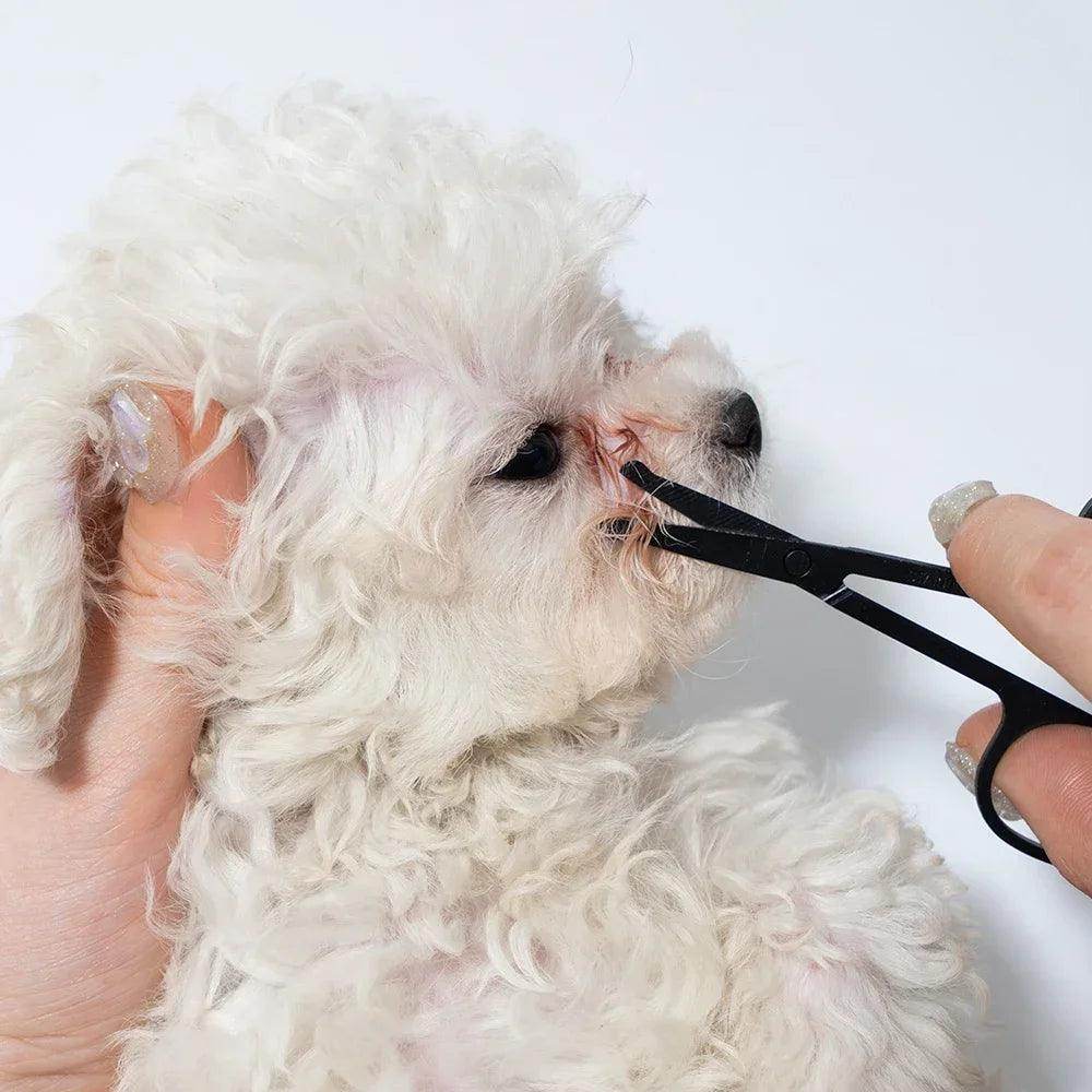 Pet Facial Cleaning Comb - My Store