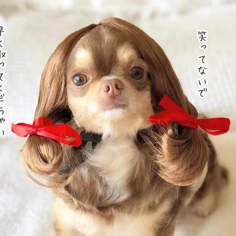 Pet Cosplay Wig for Cats & Dogs - My Store