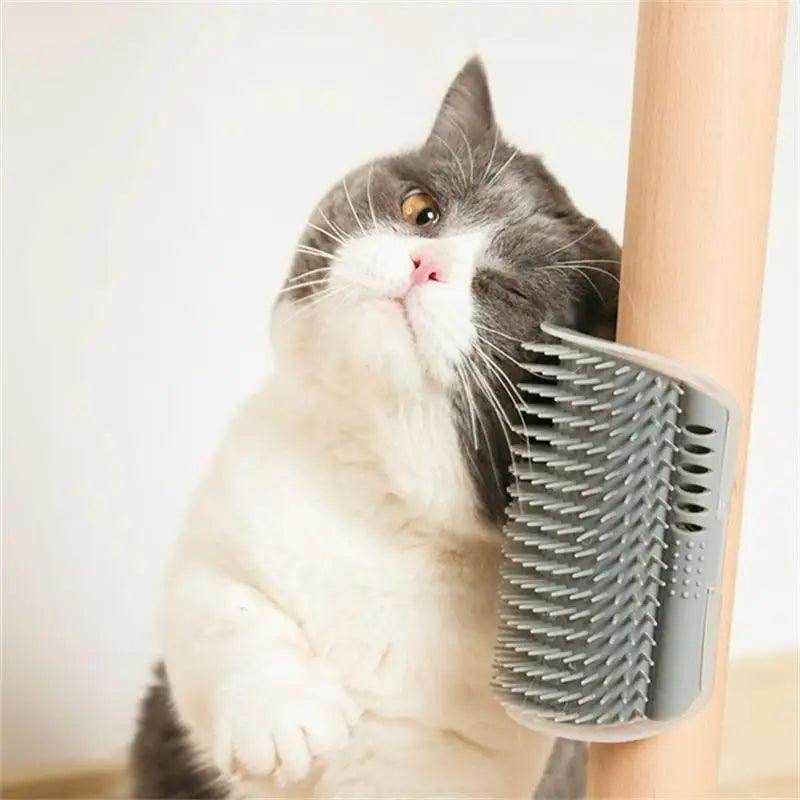 Cat Scratcher Massager for Cats - My Store