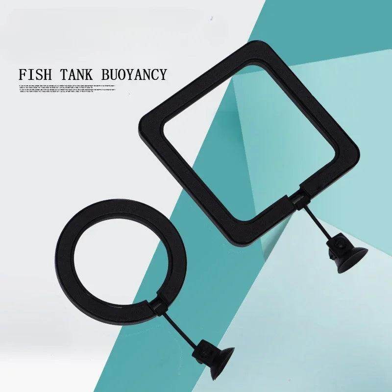 Floating Fish Feeding Ring - My Store