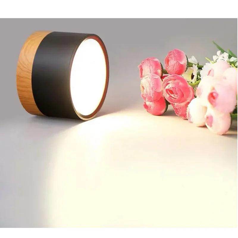 LED Surface Mounted Ceiling Downlight - My Store