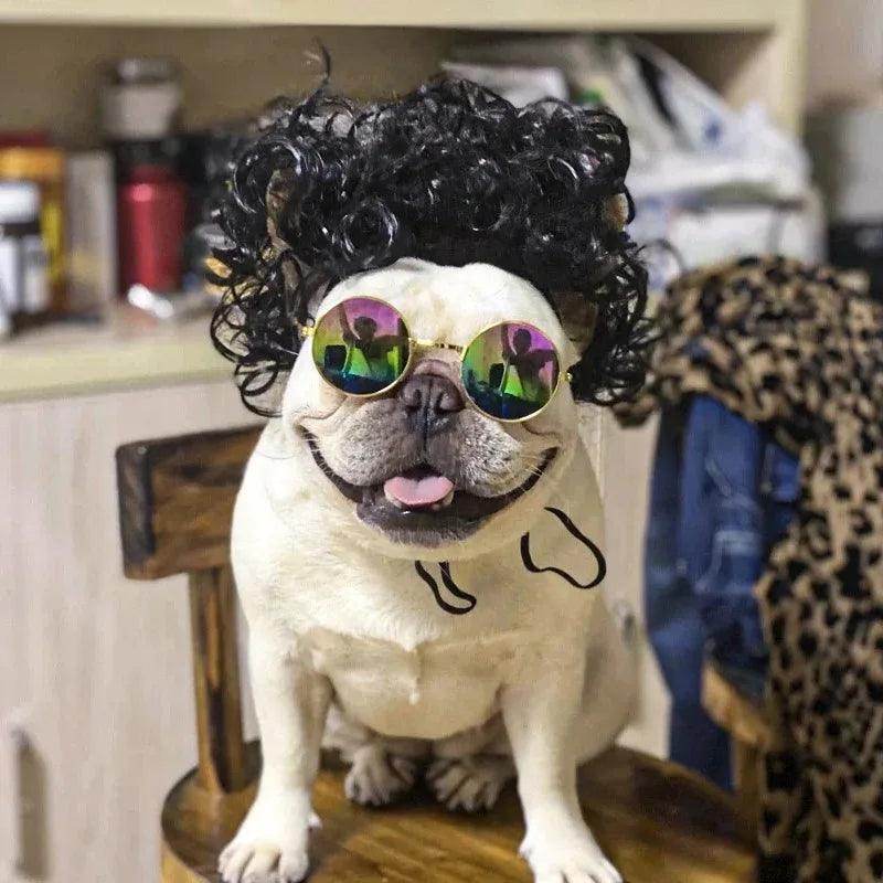 Pet Cosplay Wig for Cats & Dogs - My Store