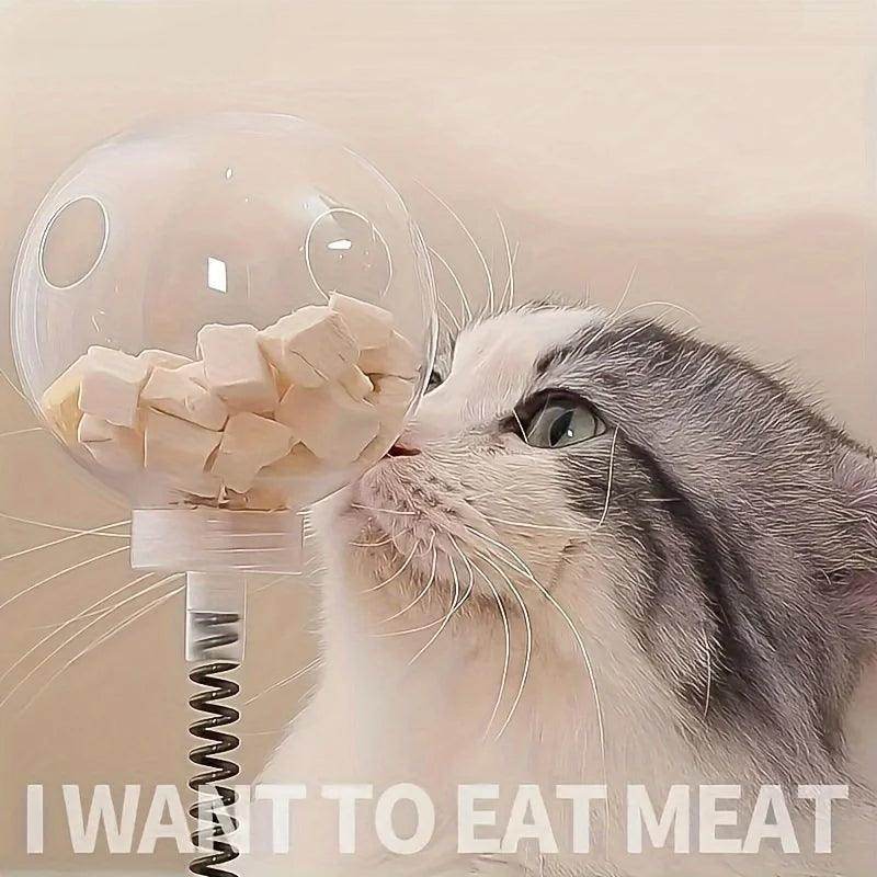 Toy & Slow Feeder with Wooden Track - My Store