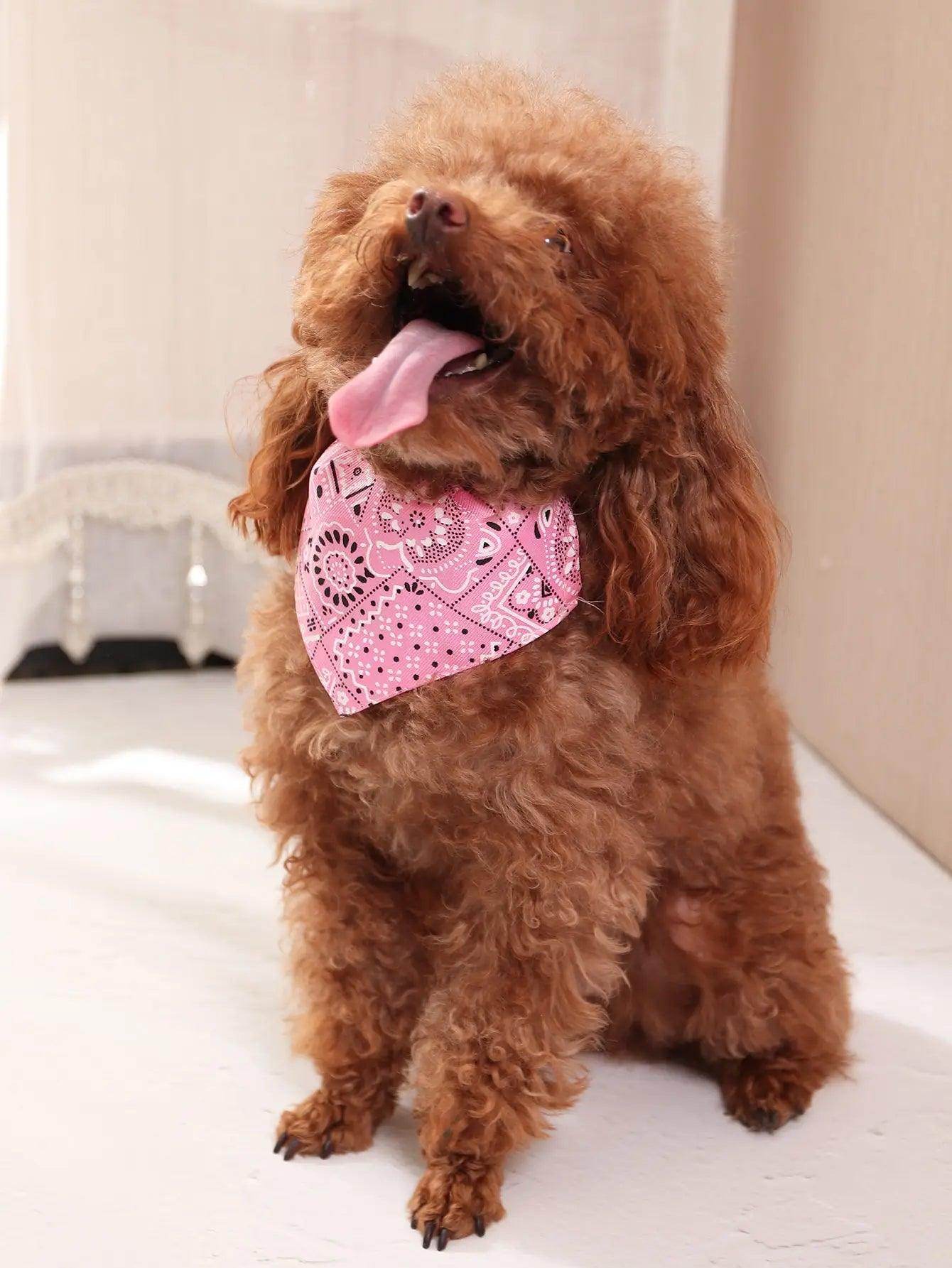 Pet Dog Cat Collar Bandana Bibs - My Store