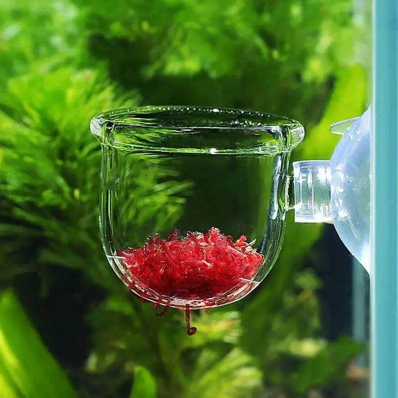 Acrylic Aquatic Plant Cup with Suction Holder - My Store