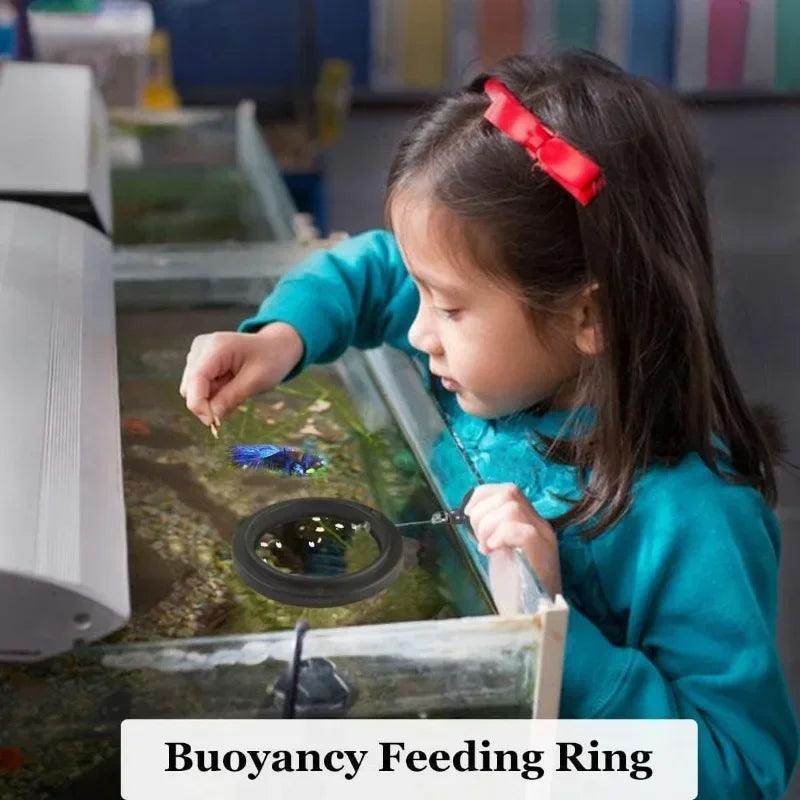 Floating Fish Feeding Ring - My Store