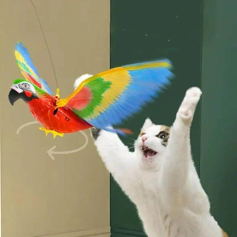 Electric Parrot Hanging Wire Circling Bird & Cat Toy - My Store