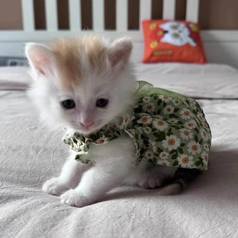 Pet Princess Suspender Dress - My Store
