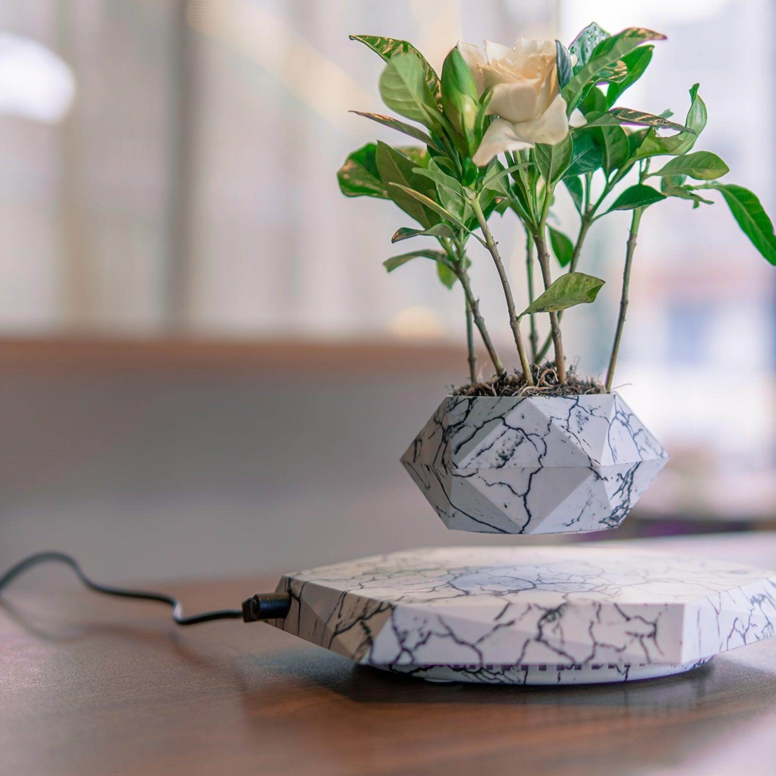 Levitating Floating Plant Pot - My Store