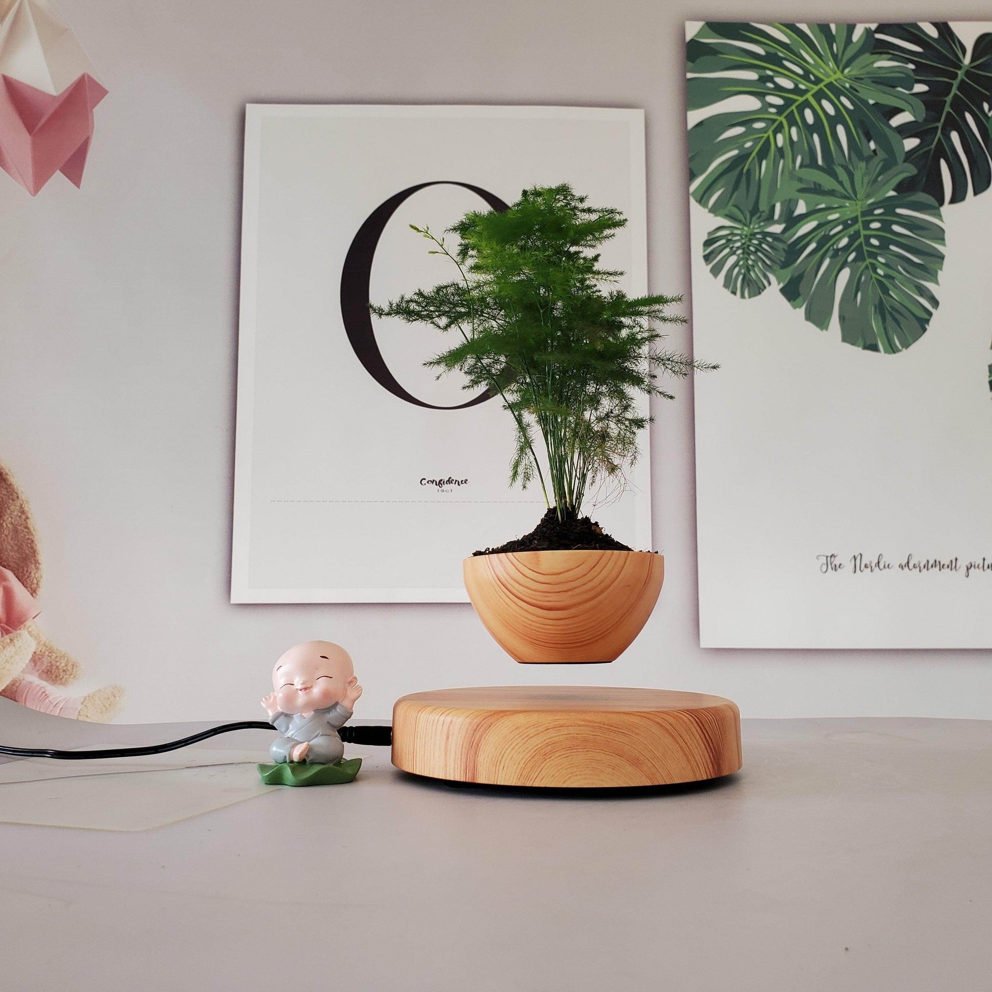 Nordic Style Succulent Plant Pot - My Store