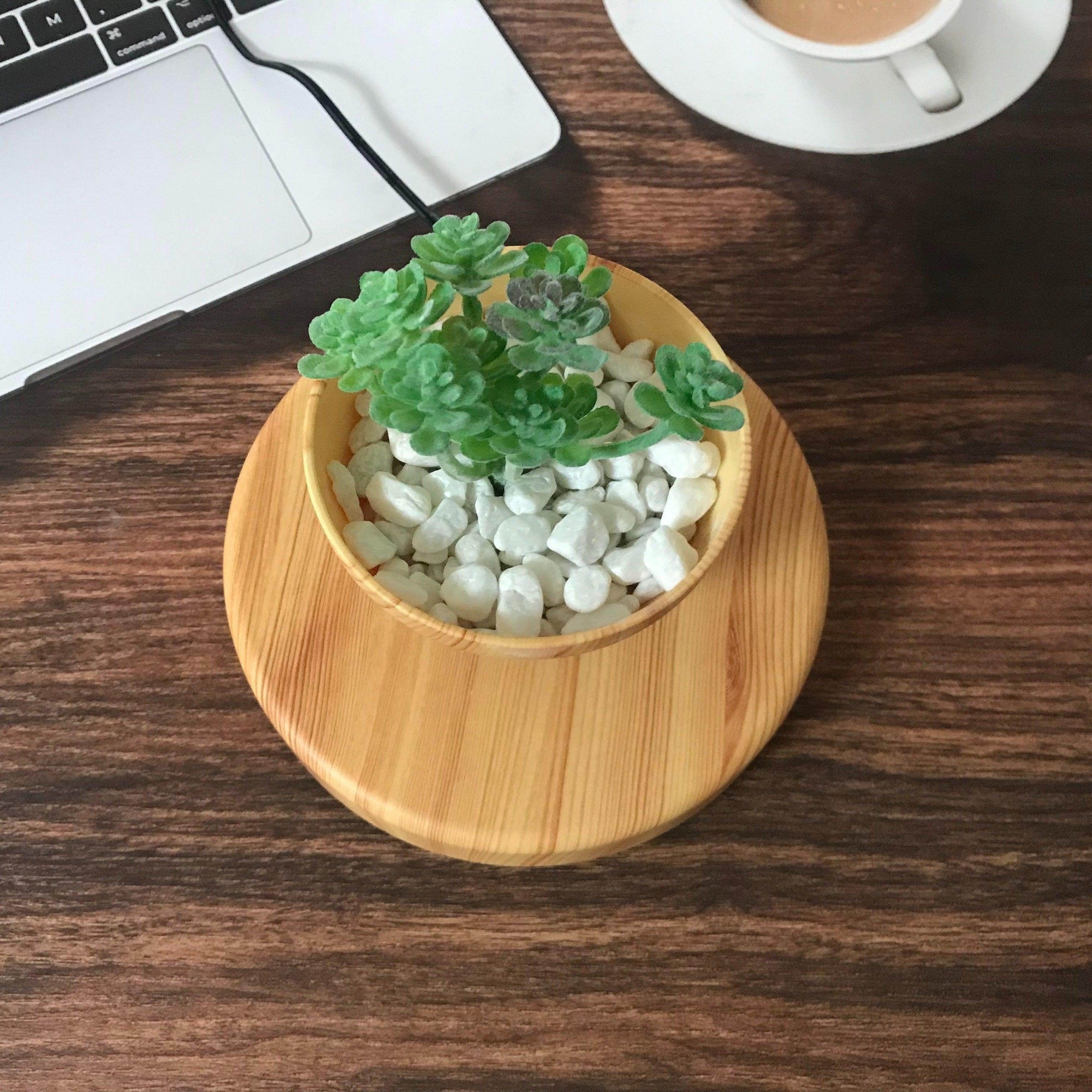 Nordic Style Succulent Plant Pot - My Store