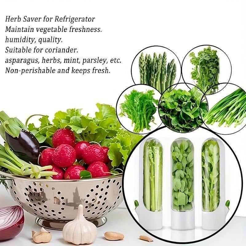 Fresh Vegetable Storage Containers with Flip-Top Lid - My Store