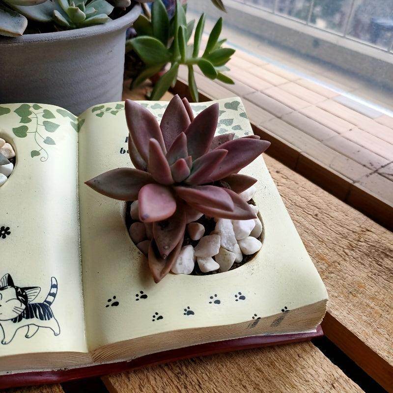 Modern Resin Book Planter - My Store